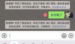 寻亲爆料聊天记录视频,揭秘聊天记录背后的感人故事