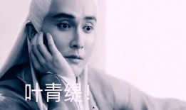 吃瓜的总裁第二集免费阅读,第二集免费阅读揭秘