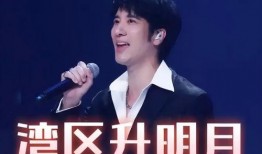 王力宏回应爆料视频大全,真相与澄清