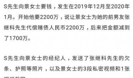 明星隐私大v爆料视频,明星隐私大V爆料视频引发热议