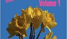 spanking love在线观看,揭秘Spanking Love在线观看之旅