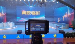 临沂最新爆料视频,揭秘背后惊人真相！