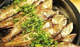 蚝油小鱼爆料视频播放大全