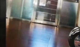 哈尔滨学校爆料视频曝光,揭秘校园内幕