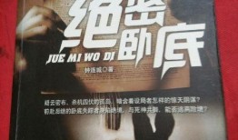 绝密卧底在线观看,潜入黑暗，揭秘真相