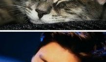 娱乐圈吃瓜猫是谁,揭秘娱乐圈幕后真相的神秘人物