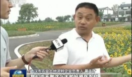 快乐吃瓜娱乐新闻视频,最新娱乐新闻视频盘点