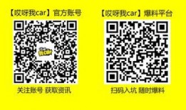 长沙最新事件爆料视频,视频揭秘惊人真相，引发社会热议