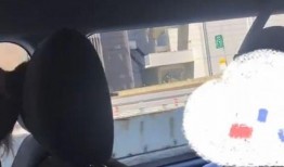 张兰爆料孙子孙女视频播放,视频播放引发网友热议