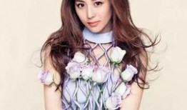 娱乐圈爆料宋妍菲简介,娱乐圈爆料中的璀璨新星