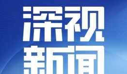 深圳市王先生爆料新闻,揭秘某重大新闻事件内幕