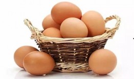 热点爆料鸡蛋能吃吗视频,鸡蛋能否安心食用？热点视频深度解析