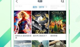 网友爆料飞机视频下载软件,网友爆料，这款软件让你轻松获取空中美景