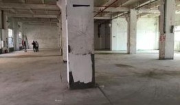 洋米高在线观看,揭秘热门剧集背后的精彩故事